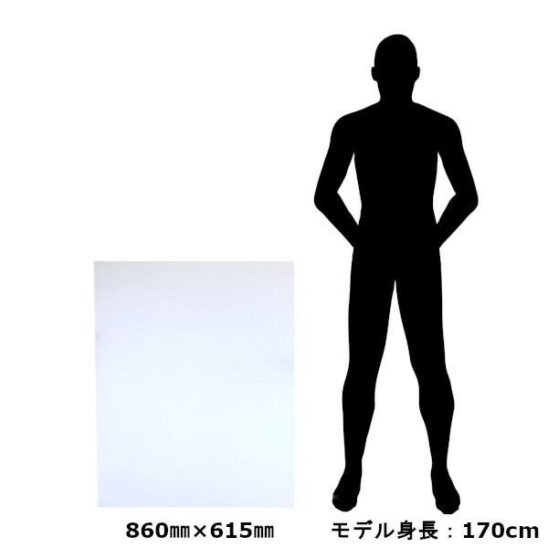 【最短翌日お届け】ミナダンプラダンシート5mm10枚/断熱プラダンプラベニダンプラ穴あけ壁窓透明酒井化学工業615mm×860mm養生はさみカッター仕切り加工DIY厚さ5.0mm工作安全国産クリア送料無料
