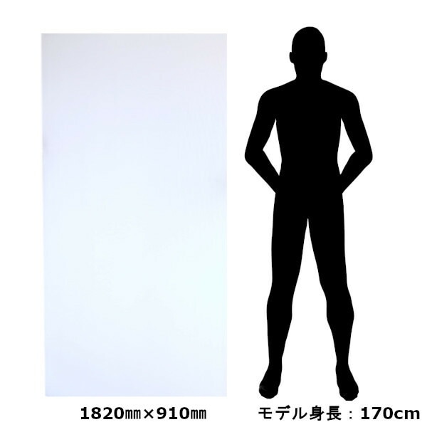 【最短翌日お届け】ミナダンプラダンシート2.5mm厚20枚個人様購入可能/断熱プラダンプラベニダンプラ穴あけ壁窓エレベーター透明酒井化学工業910mm×1820mm養生パーテーションDIY軽量厚さ2.5mm文化祭学園祭ベニヤ看板板