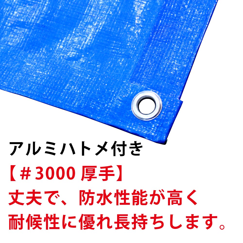 【最短翌日お届け】ブルーシート3.6×3.61枚#3000/3.6m×3.6m厚手防水カラー雨除け雨よけシート防水シートカバー野外ほこりアルミハトメ付きはとめ耐久性長持ち農水産業多用途サイズ360防災花見※ロールではありません