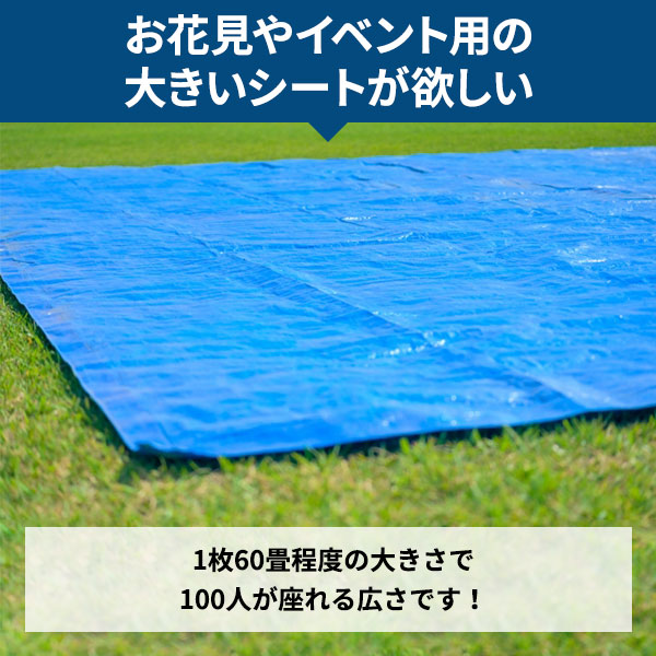 【最短翌日お届け】 ブルーシート 10m×10m 1枚 #3000