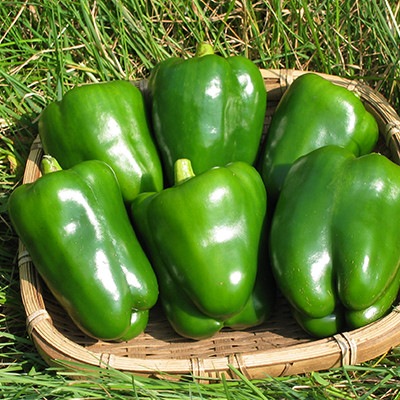 �������ԡ��ޥ�ʤ��Ф��ԡ��ޤ�ˡ�