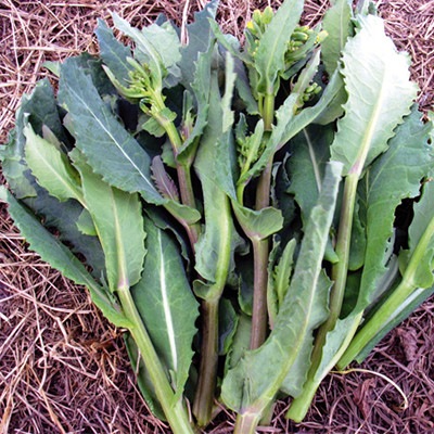 ���礫���ڡʤ��路�ޤ����ʡ�