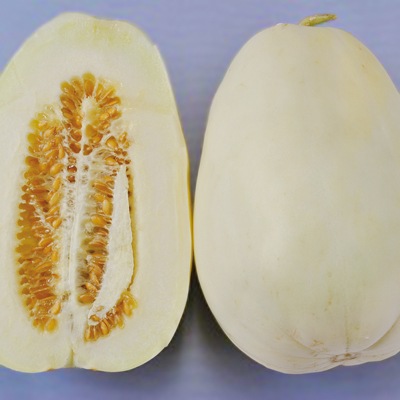 �ʥ�����ʼ����ϡ�