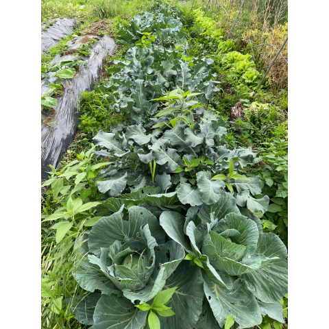 E���åȡ��դ�����ڥݥå��ĥ��å�