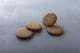 No. 21 Autumn Biscuits ��9/7�ʷ��12:00�������䳫�Ϥ��ޤ���