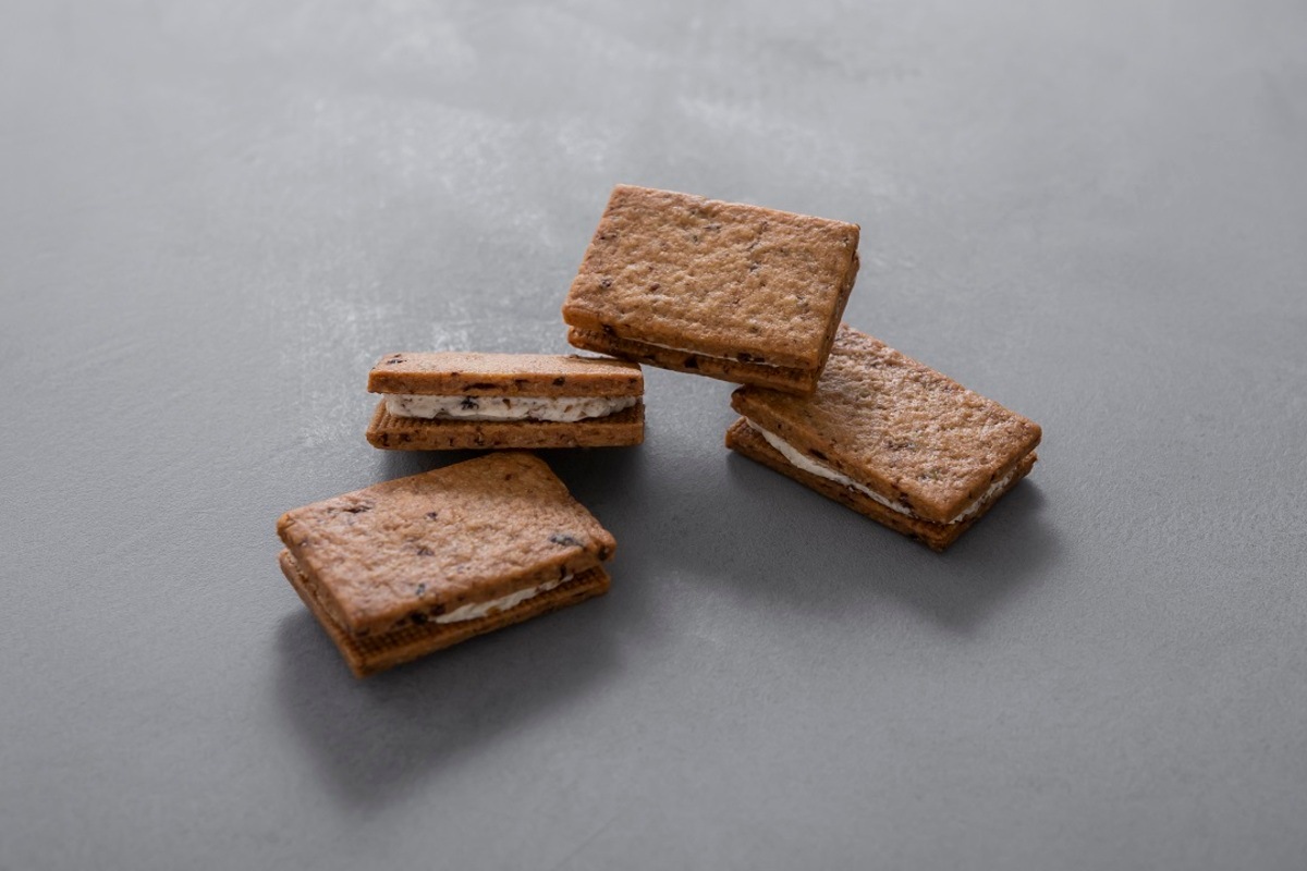 No. 27 Raisin Sand Biscuit