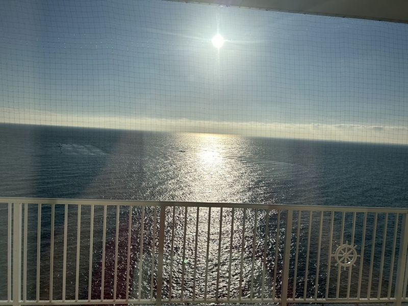 �ڥ��륳���դ���øϩ����å��륳��&��ȥ꡼��