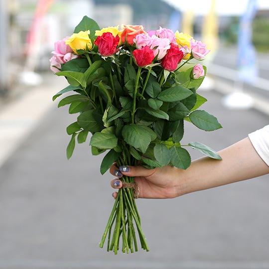 季節のバラ 農園直送 20本セット 花束 長さ40cm 生花 バラの産地からのお届け ドライにもおすすめ 誕生日 記念日 プレゼント 朝摘み バラ品評会 多数の受賞 ドライフラワー S006-001