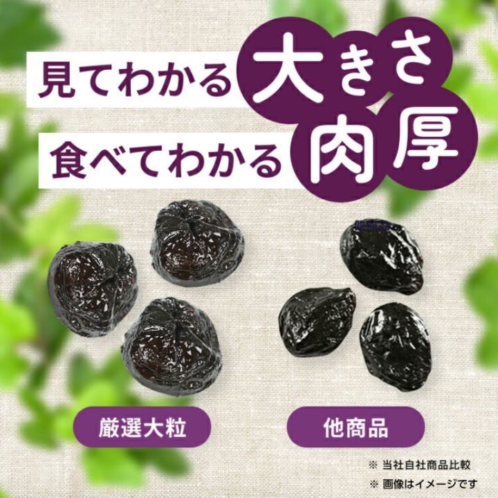 サンライズ・厳選大粒プルーン種ぬき400g | プルーン | | 正栄食品