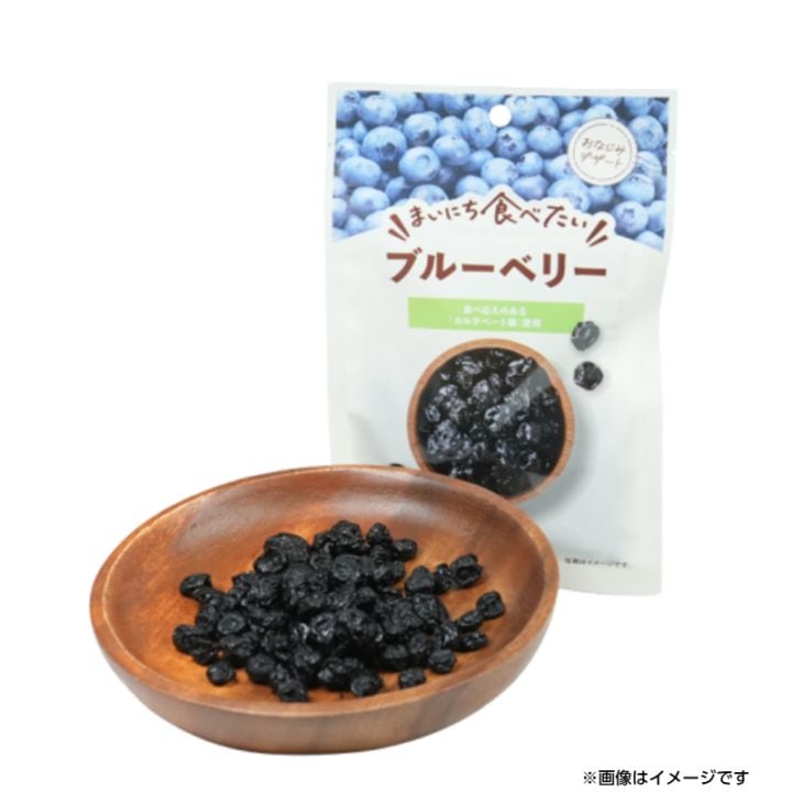 ブルーベリーさん専用 まいにち食べたいブルーベリー 42g | ドライフルーツ,ブルーベリー