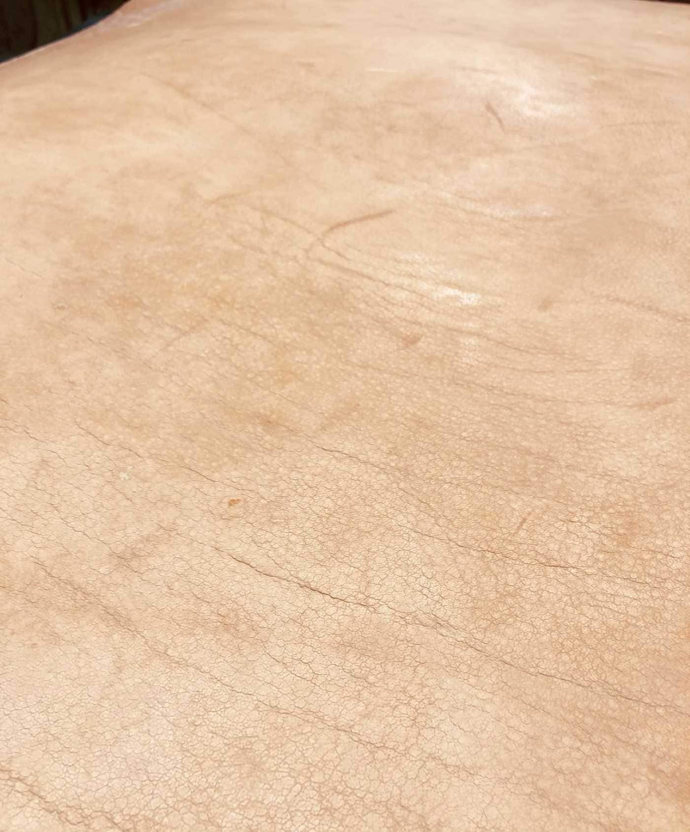 【希少品】敷物　未使用　水牛（バッファロー）　大型　本皮　カウラグ　一点もの 希少品】敷物 未使用 水牛（バッファロー） 大型 本皮 カウラグ