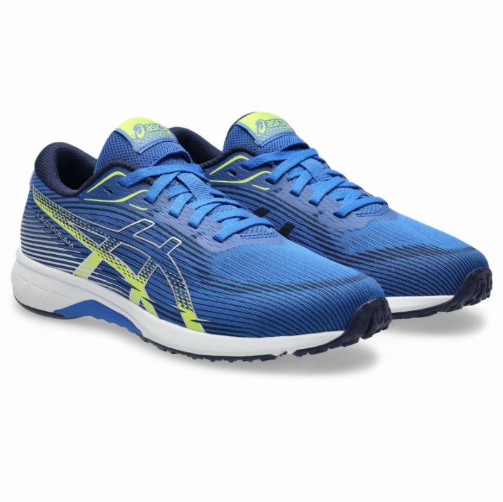 アシックス スニーカー 東京マラソン2023モデル　新品未使用　⭐︎値下げ 再値下げ】アシックス ランニングシューズ 東京マラソン 2023 限定