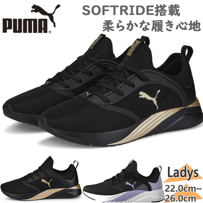 ס  SOFTRIDE ӡ եȥ饤  塼 ˥󥰥塼  եåȥͥ Ż  ֥å  ̵ PUMA 377050
