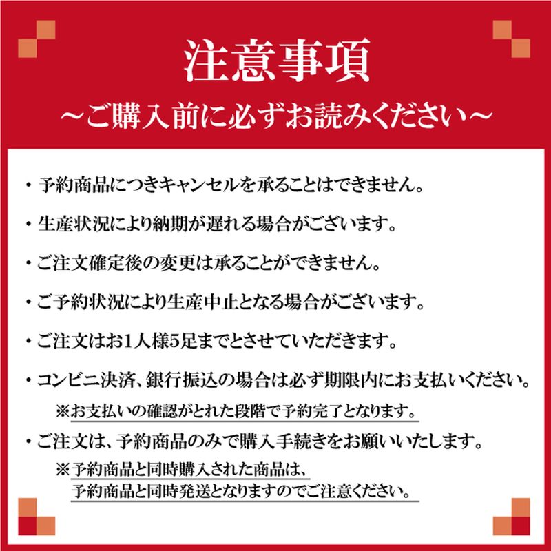 3E  磻 ͥå  ǥ ѥå󥨥饹Z Хɥߥȥ  塼   å 졼  ̵ YONEX SHBAZ2M