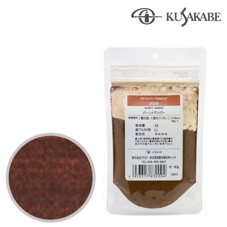 ピグメント50g 208≪ローアンバー≫