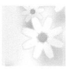 デリータトーン　SE-1054