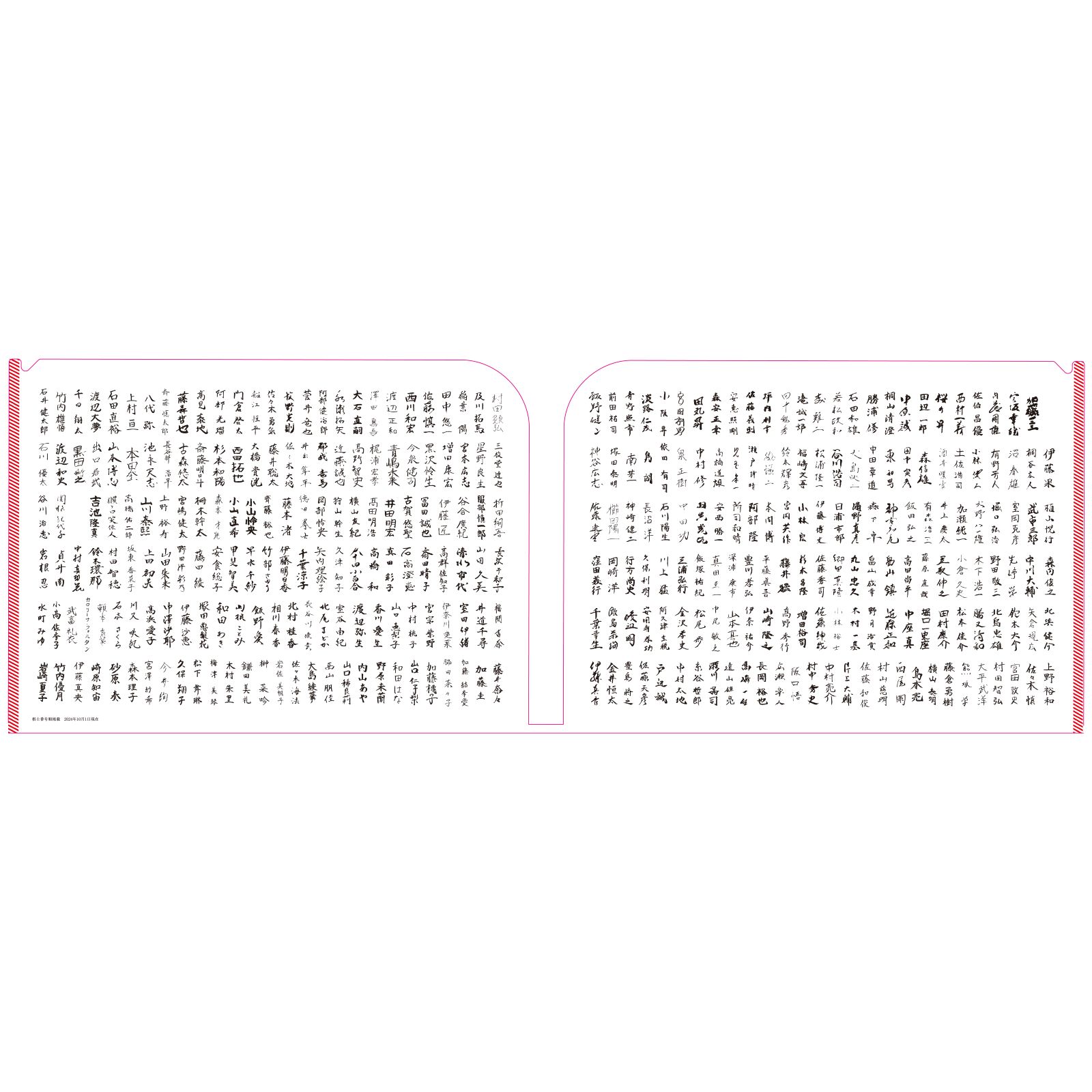 100周年集合写真＆全棋士署名Wポケットファイル | 公益社団法人 日本