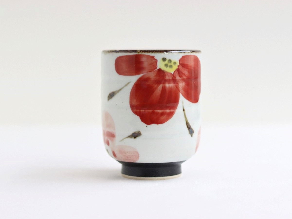 �Ⱥ����ơ��֡������ݤߡ������֡�