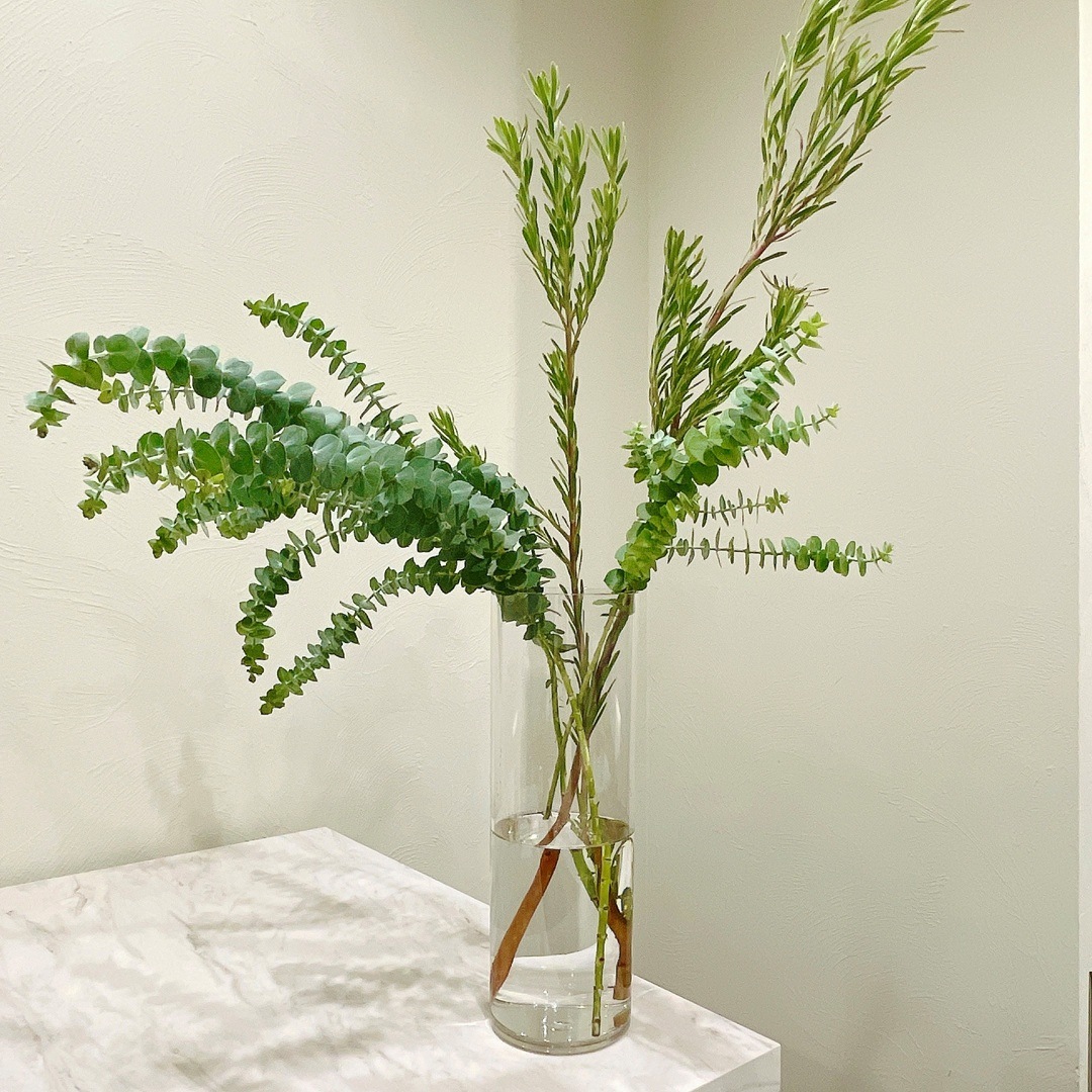 �ե�������䡼�� Blue (�������٤�磻��ȥ����ȥե��Υ��å�)