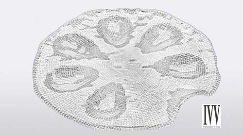 ディアマンテ 34cmオイスタープレート・クリアー