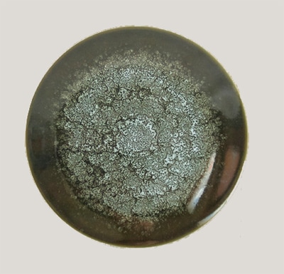 テラ・グラーズ ディナープレート オリビエ