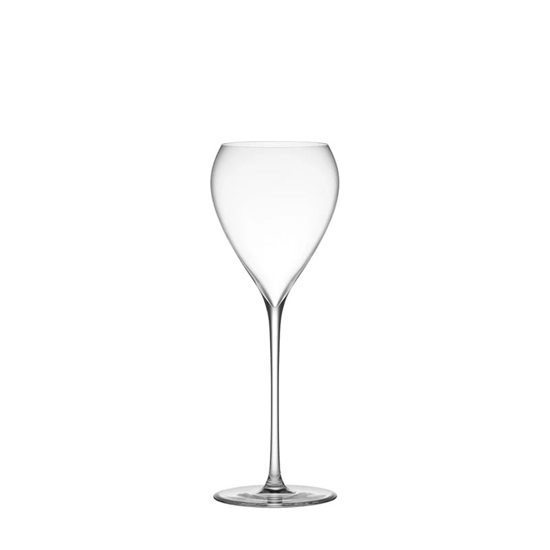 News colorシャンパングラス カラーアクセント シャンパングラスセット