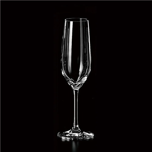 SCHOTT ZWIESEL（ショット・ツヴィーゼル）｜シャンパングラス フォルテ（旧ヴィーニャ） フルートEP 123616 227ml 【発泡ポイント付 トリタンクリスタル 食洗機対応】 ドイツ製 おしゃれ シンプル