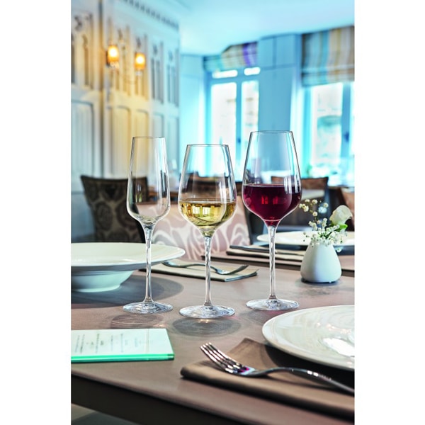 【ワイングラス】【シェフ＆ソムリエ　シュープリーム ワイン４５　450cｃ】
