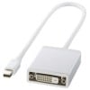 ���� �������� DisplayPort-DVI�Ѵ������ץ����ۥ磻��