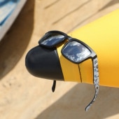 T060 ���� �������� KDEAM UV400 ����С��ߥ顼 ��� ���ݡ��ĥ��󥰥饹