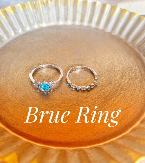 483�ڿ���ۺ߸ˤ鷺�����ǥ�����Ż� �֥롼 ��� ��ǥ����� ����