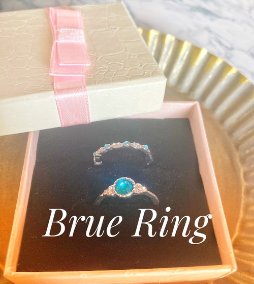 483�ڿ���ۺ߸ˤ鷺�����ǥ�����Ż� �֥롼 ��� ��ǥ����� ����