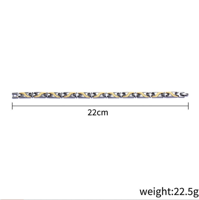 T0350 ���� ����ޥ˥��� ���� ���ʼ��ɥ饴��ѥ����� �֥쥹��åȹ��ߥ������