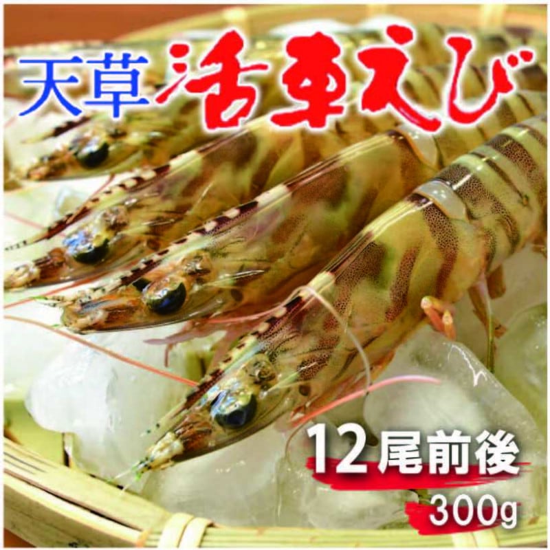 ŷ���ֳ�Ϸ  300g