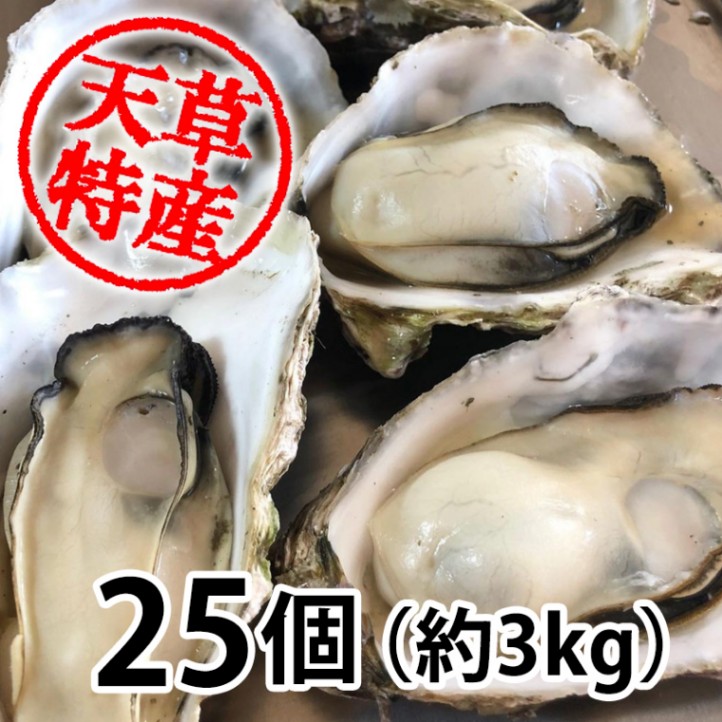 天草産旬の生牡蠣 10個｜熊本の通販は天草特産品ショップ