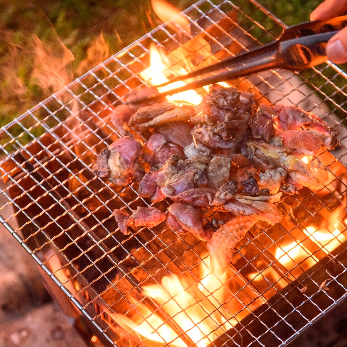 �����Ϸܡ�ŷ���粦��̣�դ����ʲ�Ǯ�ѡ�6�ޥ��å�