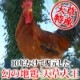 ŷ粦úпƻЧ 3