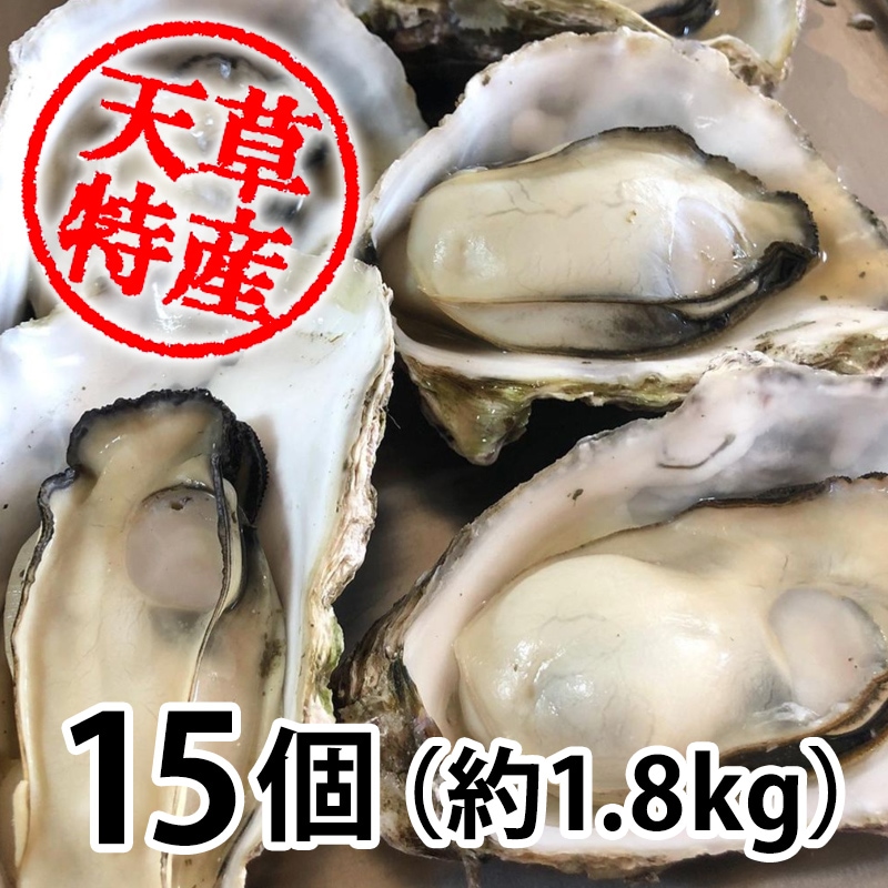 天草産旬の生牡蠣 10個｜熊本の通販は天草特産品ショップ
