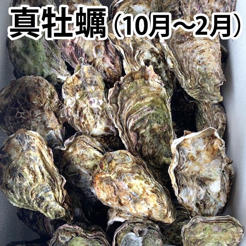 ŷ�𻺽ܤ������ڡ��� 15�ġ�