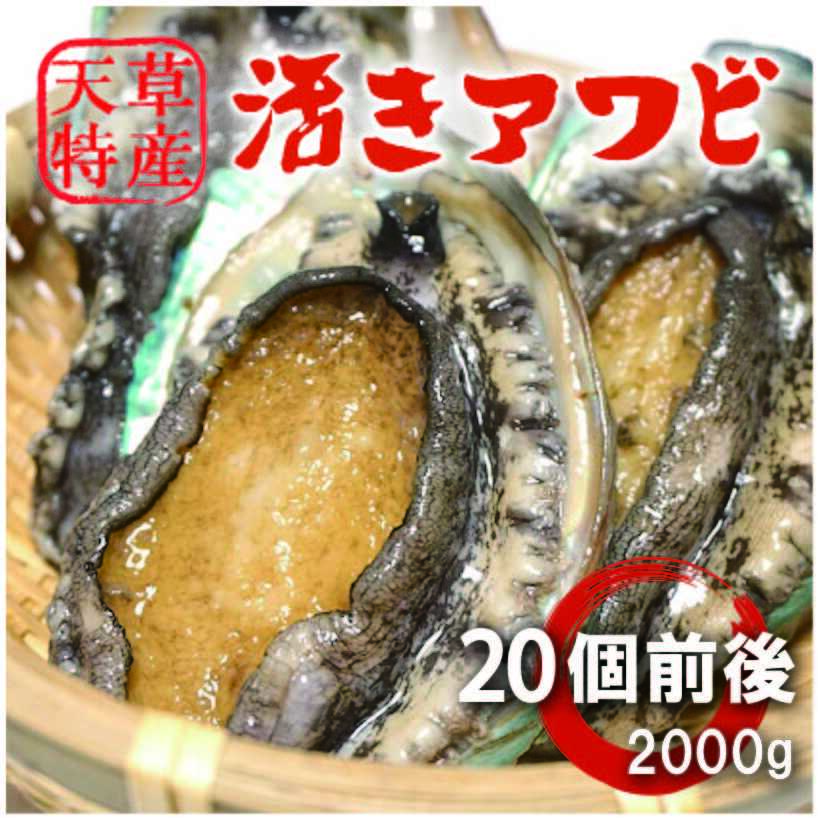 ŷ褭 2000g