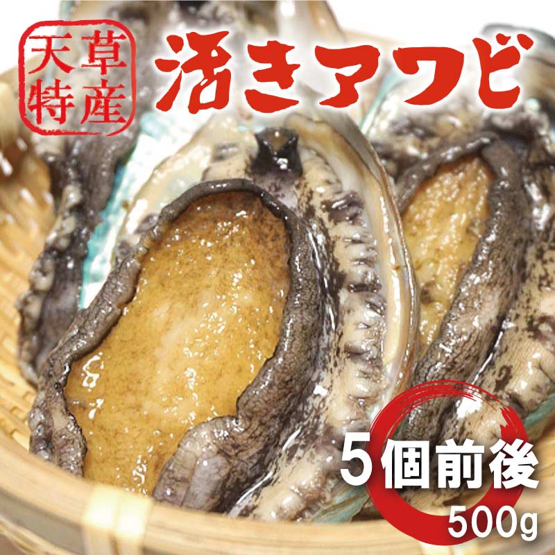 ŷ褭 500g