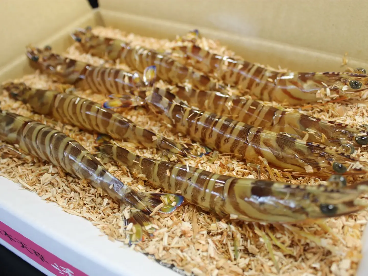 �褭�ֳ�Ϸ�ֳ�Ϸ����300g