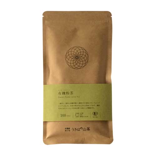 �����Ϥλ���  ͭ��ʴ�� 100g