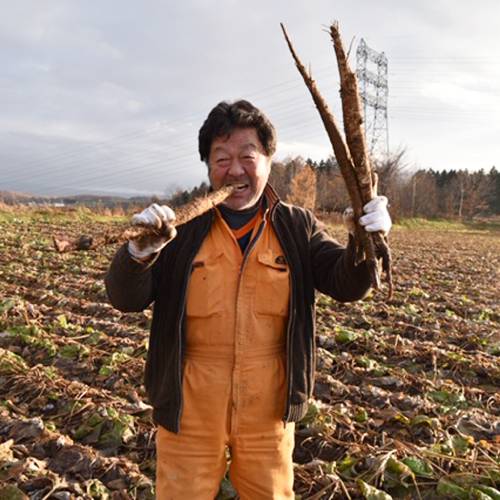 ��5��OFF�ۥ��������ͭ�����ܤ��� 20��