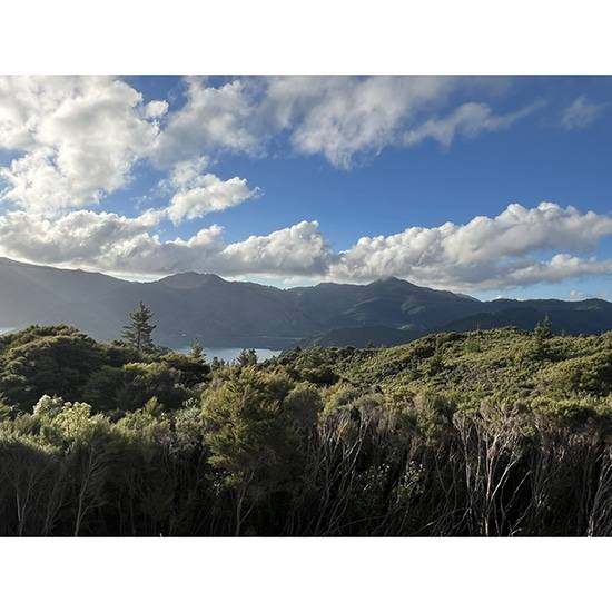 �ޥ���ƥ�Х졼 �ޥ̡���˪̪ 500g