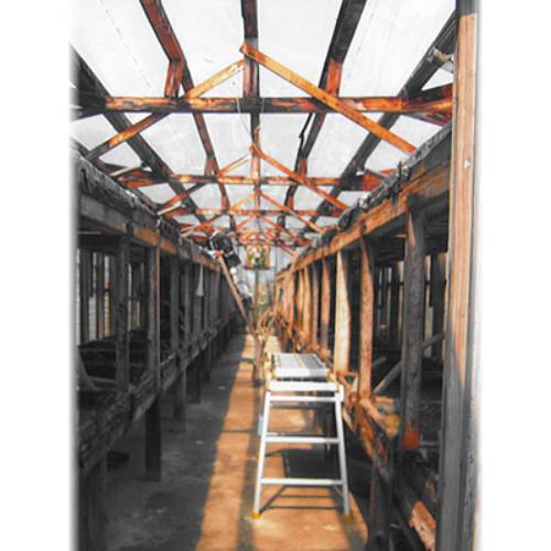 ŷ���ŷ���� �Ϥ䤵���α� �˾� 250g