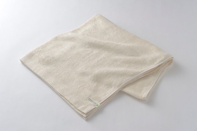 TAKEFU �Х�������