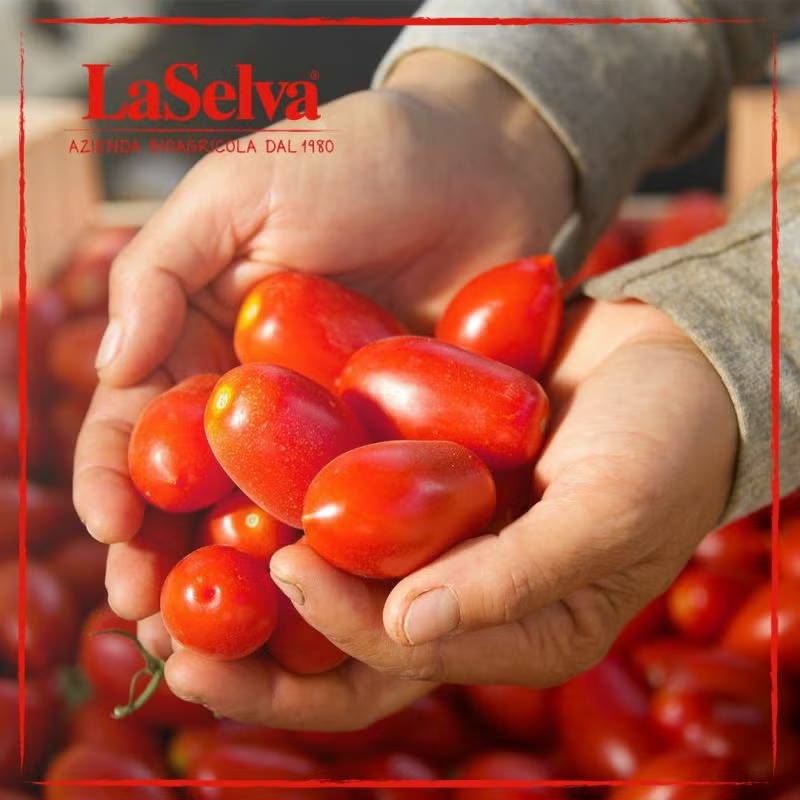 �饻��� �������˥å������ڤ�ȥޥ� 425g