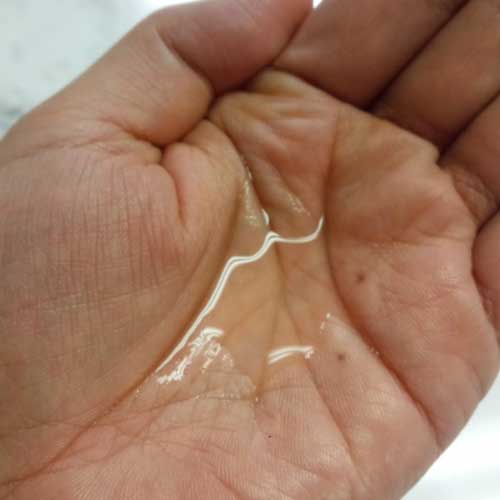 ������ ��������������󥸥󥰡㥢����������� 125ml