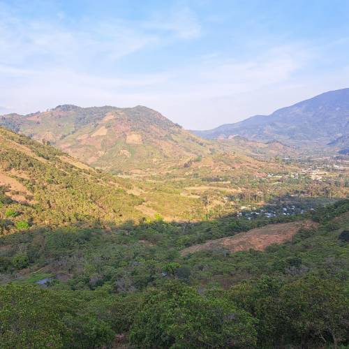 ʥ 塼ʥå εʳ 500g